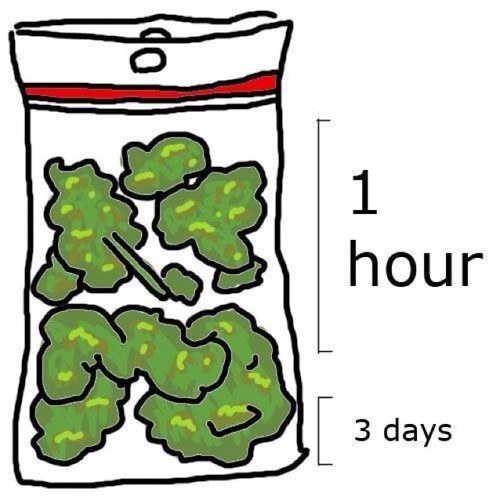 just another stoner trying to make a funny twitter acount about #weed. follow and ill follow back! Smoke up!
