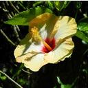 Judith Saavedra - @JudithPauser - Twitter