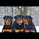 allan mathieu - @harco6214 - Twitter