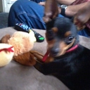 Glenda Arnold - @arnold_glenda - Twitter