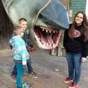 Destiny Valle - @destiny_49ers - Twitter