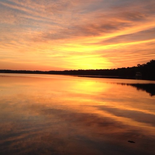 baxsal's profile picture. Blessed and lucky. 🐶