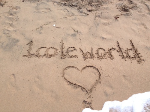 1coleworld's profile picture. 