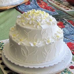 I am a professional cake decorator. I have my own business M&C Cake Decorating. Feel free to order!