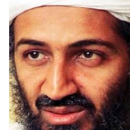 VinladenOsama's profile picture. 