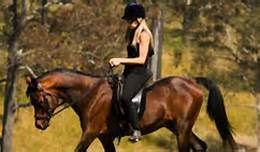 Alabama Girl. I am a down home country girl. Horses are my life. I love BIG trucks. Muddin. Fishin. Gettin down and dirty ;) Im 21. This is my anon account yall
