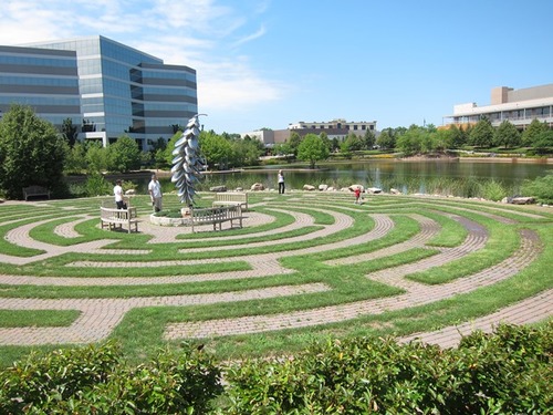 sansthyroid's profile picture. Comedy and sports fan, not a drone account so stop suspending my account TWITTER!  ThyCa