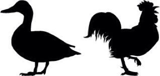 ButtonhookGolf's profile picture. 