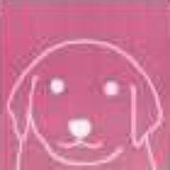 ユニちゃんずを信じろ
