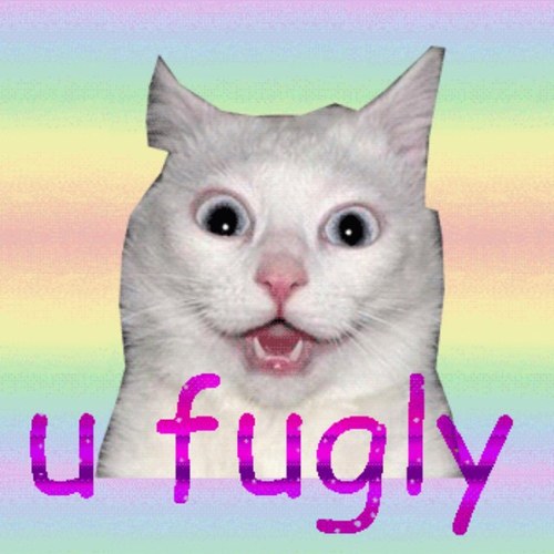 im not here to make friends im here to be america's next top model