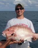 dstehlin's profile picture. 