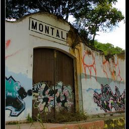 Promoción de actividades y proyectos para la mejora de la comunidad de Montalbán 1, 2, 3 y Juan Pablo. Mensajes positivos para la integración