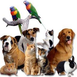 Welcome to Portal Pet Shop, where shopping for your furry friends is fun and effortless. Huge saving everyday!