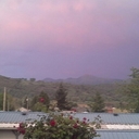 Coreena May Crawford - @CCdogs - Twitter