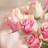 RN_doaa's profile image