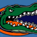 Gators (@gators) Twitter profile photo