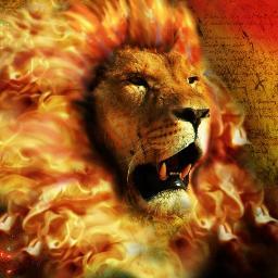 Doing my best to serve mankind to liberate your captivated mind
