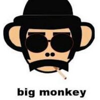BIGMONKEY CURUG JAYA (@bigmonkeycurug) 's Twitter Profile Photo