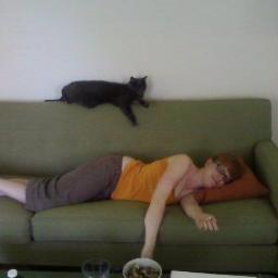 medical ethics, homeless advocacy, philosophy, burritos, cheese, cats.