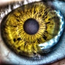 Brian Dingman - @oldbmxdude - Twitter