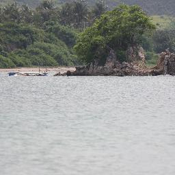 ROSALALA2's profile picture. 