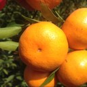 eric din - @DinDvn - Twitter