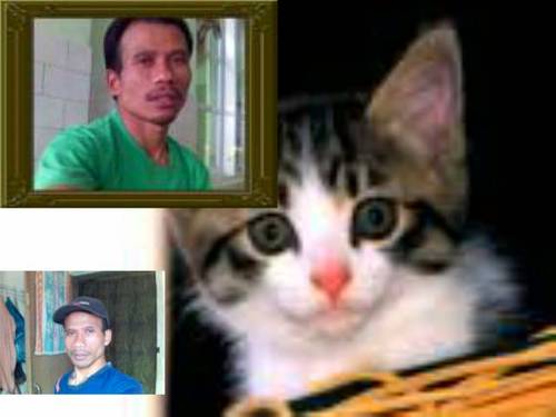 oncell71's profile picture. aku adalah aku,aku orang biasa aku pingin bnyak teman yang bisa mendidik aku menuju jalan yg diridohi ALLOH