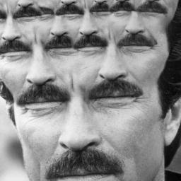 andymenutti's profile picture. https://t.co/u2yyTI35Sq