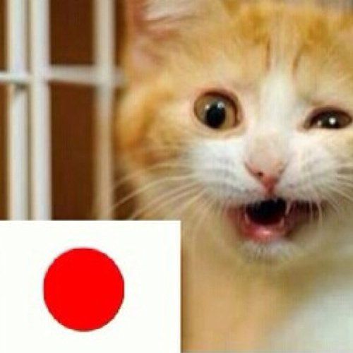 大阪生まれ、アメリカ育ち、基本猫ボラです。サポート #TNR #殺処分ゼロ #生体販売 は日本の恥！出会い目はブロックさせて頂きます。本垢→ @tony_h_tazoe 吹田→UCSB→京都→関西 American ENG, Español, Deutsch wenig, 京言葉…