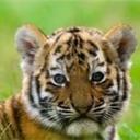 Pam Eddy - @PamEddy2 - Twitter