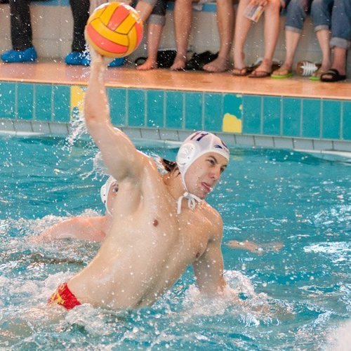 Joueur de Water-Polo Professionnel Chef d'Entreprise