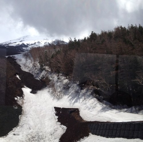 siscode33's profile picture. 