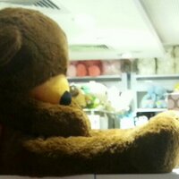 Fluffy Lamb (@_fluffylamb) 's Twitter Profile