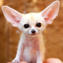 Marissail's profile picture. Research Manager at IVC Research Center - latest Israeli #hightech & venture capital developments, technology events and more