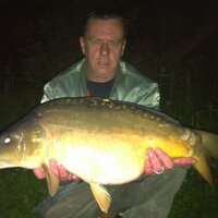 Mark Stewart (@markms86) 's Twitter Profile