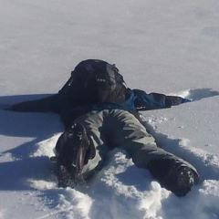 Torn between t'internet, skiing and SUP...