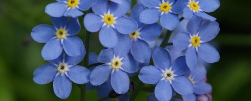 DiscussDementia's profile picture. Join our online dementia support community or submit a guest blog here: http://t.co/Jd7o6FTrfE