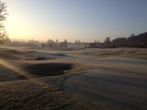 grassandcarp's profile picture. 