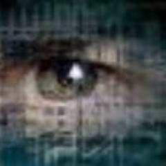 DigitalEcology Profile Picture