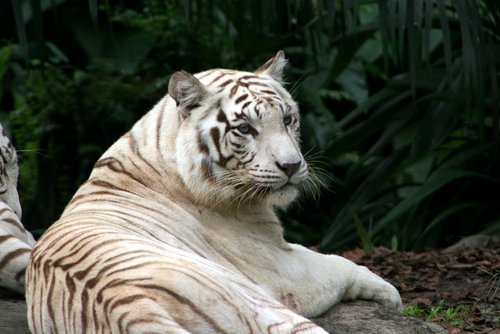 dnuppal's profile picture. 