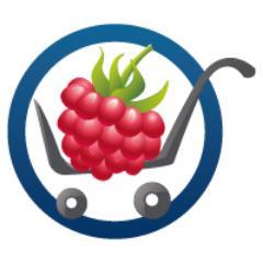 Online store specializzato in Raspberry PI, accessori, componenti e kit completi.