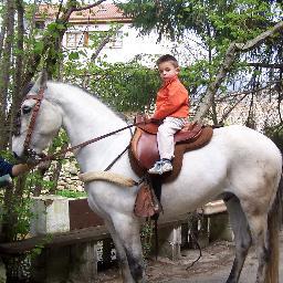 diegosuarezdia1's profile picture. 