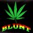 TweetThatBlunt's profile image