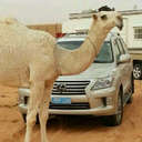 Saad Saud (@00_saad88) Twitter