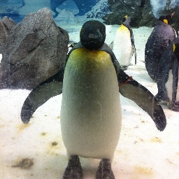 JasperMorrison's profile picture. 