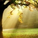 Eric Bertram - @EricBertram4 - Twitter