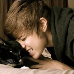 I give you a free follow, so you have to follow this accoount @Shiho_Biebs ;) Thank you.
