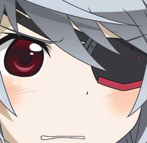 けるべろす｡さんのプロフィール画像
