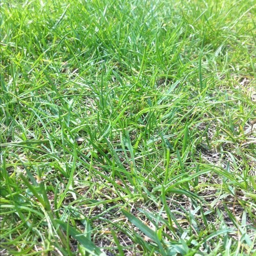 madsgeisler's profile picture. 