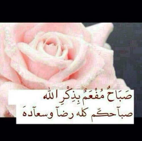 (اعشق الجمال في كل شي خاصة الكلمة الجميله)حلمي سعادة كل من احب بما فيهم عائلتي الصغيره الجميله @ أملي في الحياة رضا ربي ثم زوجي وتوفيق ابنائي @
